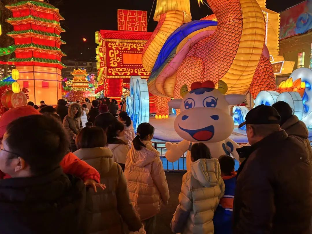 央視直播鄭州龍年燈會迎新春，花花牛品牌上大分