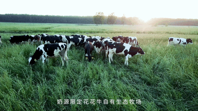 快訊 | 長(zhǎng)江商學(xué)院智能制造學(xué)會(huì)走進(jìn)花花牛乳業(yè)集團(tuán)