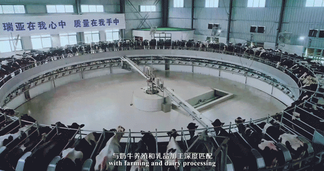 快訊 | 河南省委常委、省紀(jì)委書記、省監(jiān)委主任任正曉蒞臨花花牛乳業(yè)集團(tuán)新蔡瑞亞牧場調(diào)研