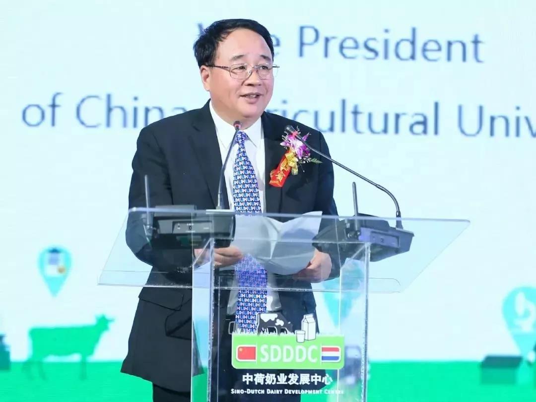 SDDDC走進(jìn)河南，看看花花牛的國際范兒！
